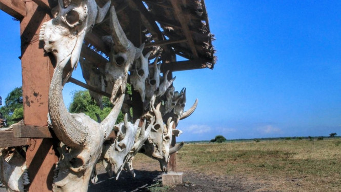 Instagram/ @kumanusiabebas