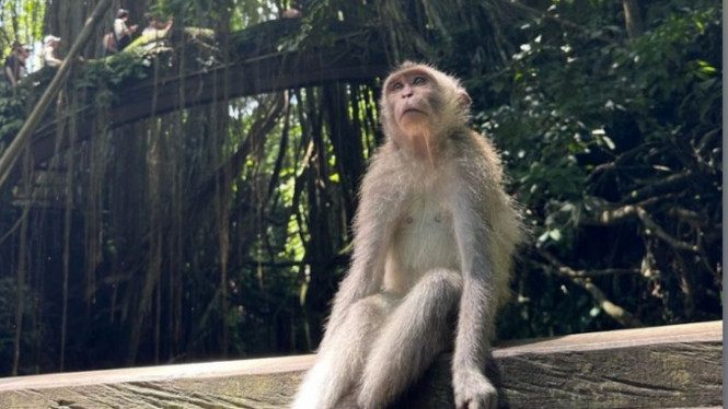 Instagtam.com/bohyunahn