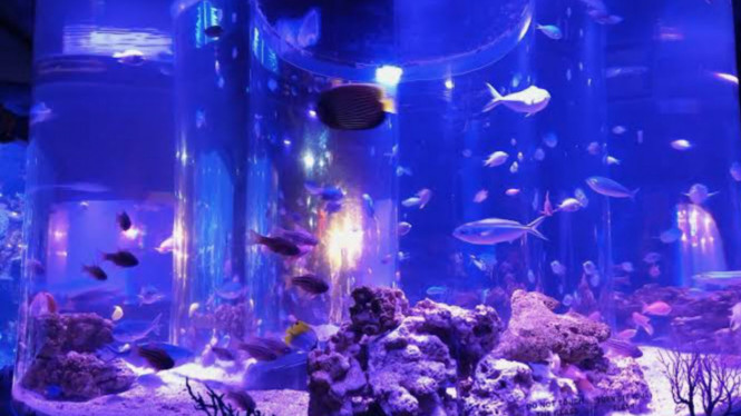 gmaps/Nabila Inspirit