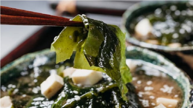 Freepik/authorfreepik