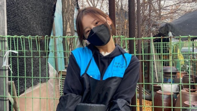 Instagram.com/hayeasong