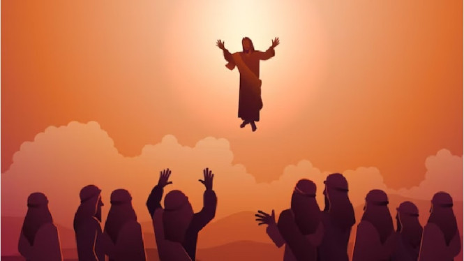 Freepik/authorfreepik