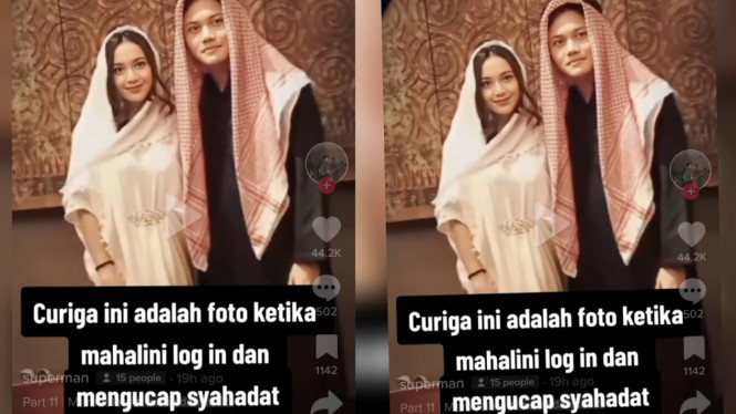 TikTok/jedagjeduglyodra