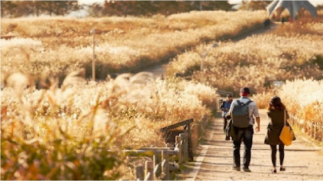 Instagram/Haneul Kungwan