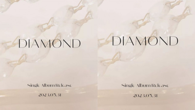 Instagram.com/dorothy.company