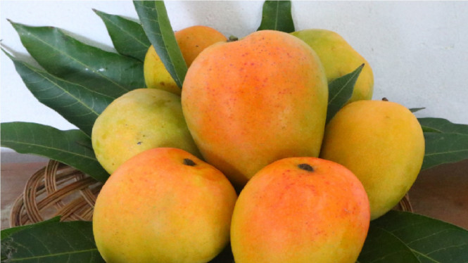 Kementerian Pertanian