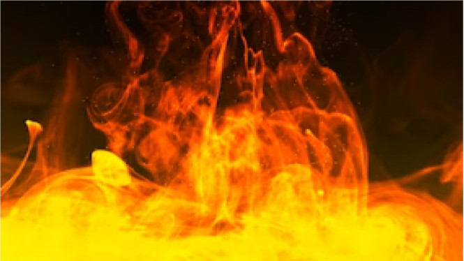 Freepik/Rochak sukla