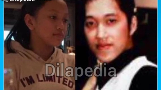TikTok/dilapedia