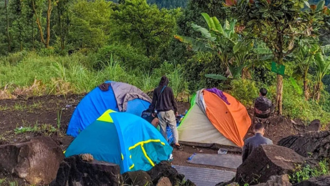 Instagram/wisatahutanpinus_batu_nyongclo 