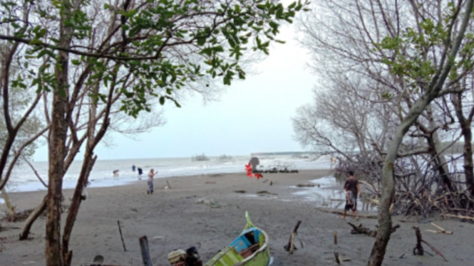Pantai Muara Gembong