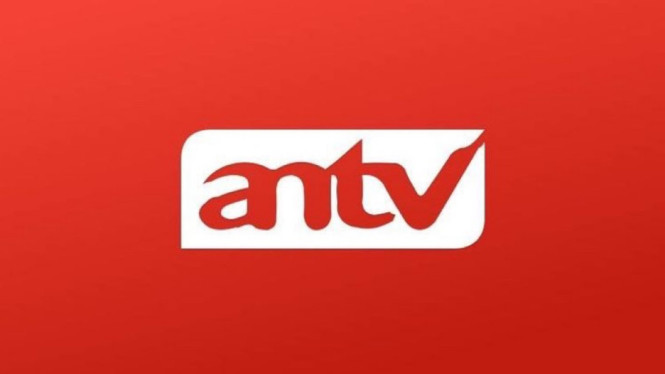 Antv Official