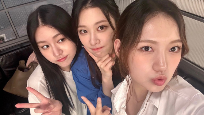 Weverse.io/rocketpuch