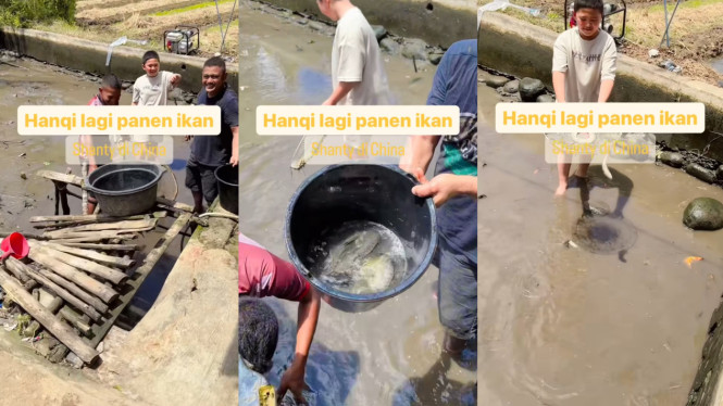 shanty3182/instagram