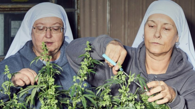 Mengenal Sisters of The Valley, Kelompok Biarawati yang Coba Sembuhkan