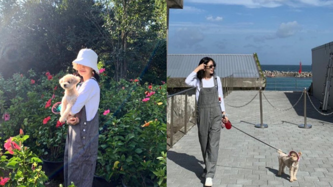 Instagram.com/jinibeak