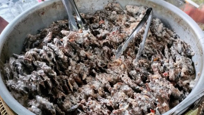 Instagram/traveller_the_explore