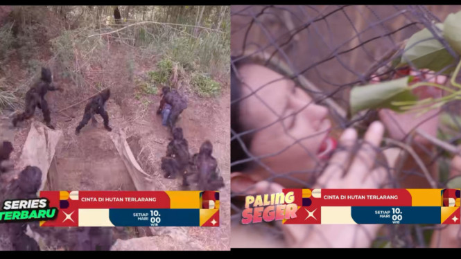 Instagram.com/@antv_official