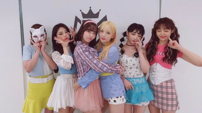 Twitter.com/pinkfantasy_kr