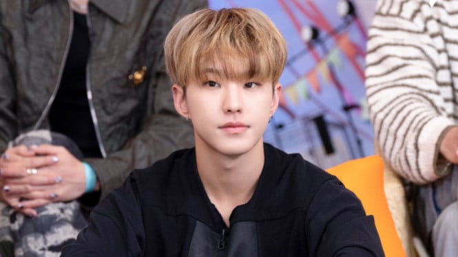 Pledis Entertainment