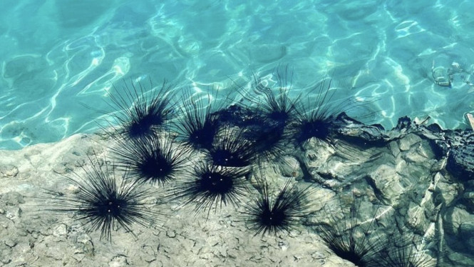 pulauseribu.tourism/instagram