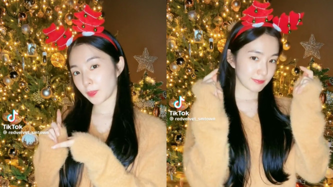 redvelvet_smtown/tiktok