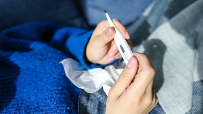 Pexels/Polina Tankilevitch