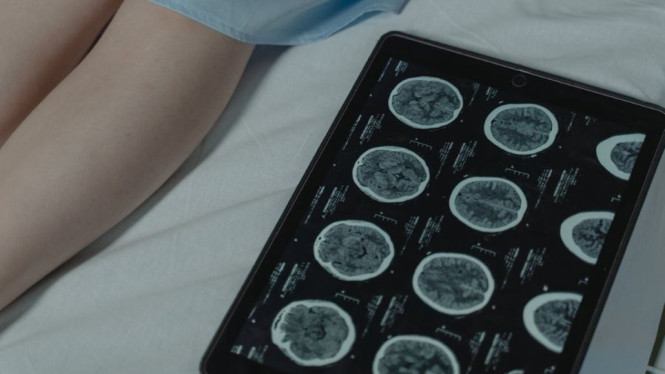 Pexels/Tima Miroshnichenko