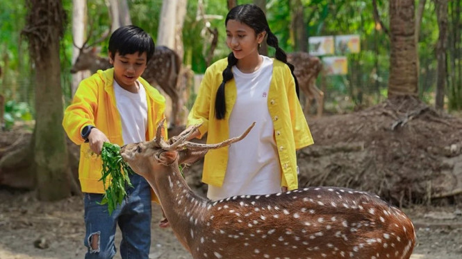 Instagram/ @jkt.escape