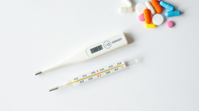 Pexels/Polina Tankilevitch