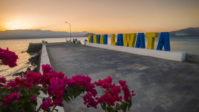 Pemerintah Kota Bima