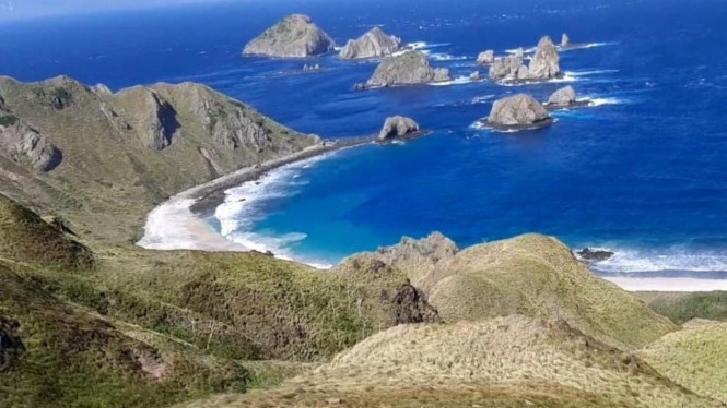 Jaringan Desa Wisata 