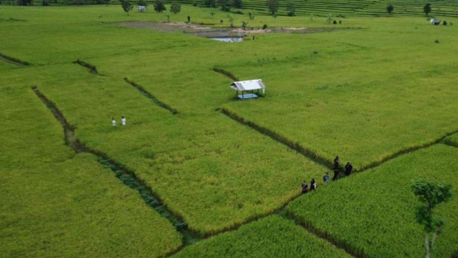 Jaringan Desa Wisata 