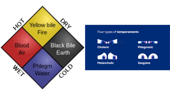 Wikipedia | Mettl Blog