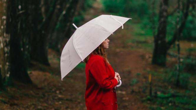 pexels.com_@guiirossi