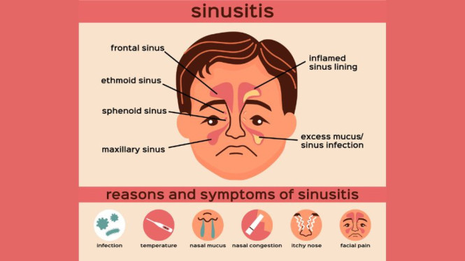 Freepik/macrovector_official