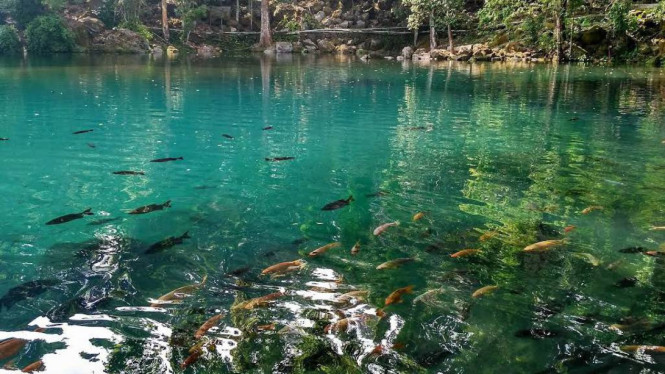 Google Maps/heloSoleh