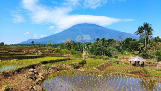 Google Maps/Sandi Laksana Putra