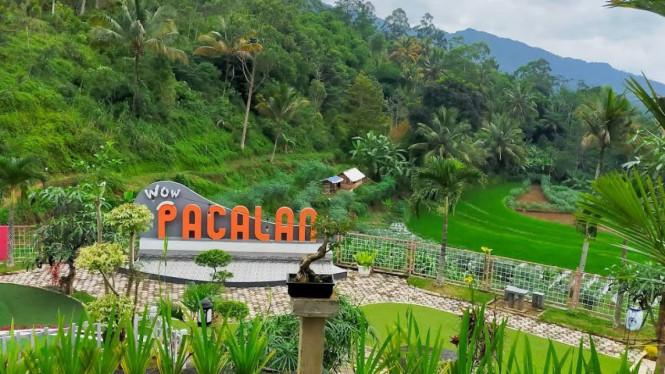 googlefoto_ Grace Celine