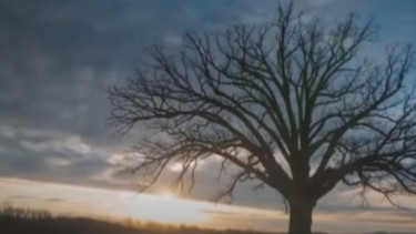 Lirik Lagu Rasanya Aku Sedang Melayang - JAV