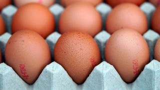 5 Jenis Makanan Kedaluwarsa yang Masih Aman Dikonsumsi: Rahasia Hemat Belanja