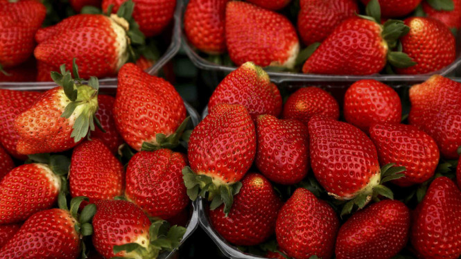 Buah Strawberry