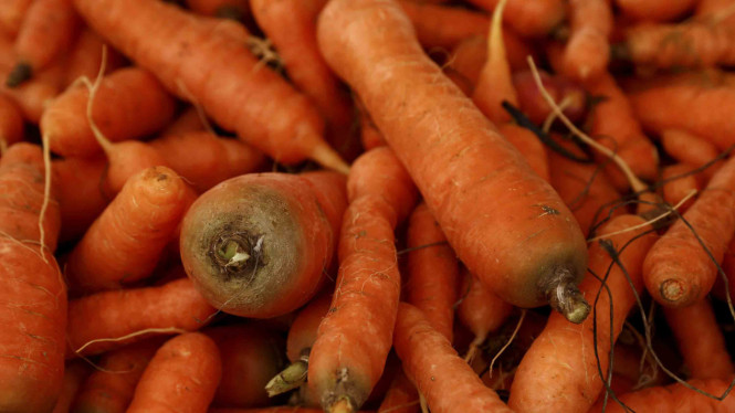 REUTERS/Darrin Zammit Lupi