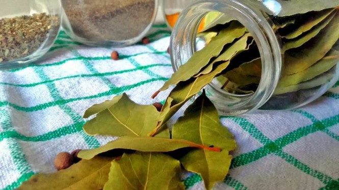 Pixabay/Publicdoaminpictures