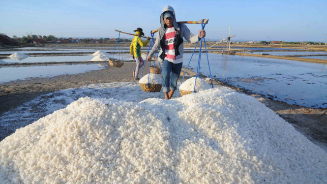 Pekerja memanen garam di Desa Bunder, Pamekasan, Jawa Timur