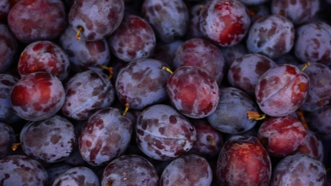 Buah plum.