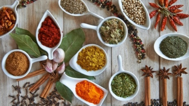 Ilustrasi bumbu dapur.