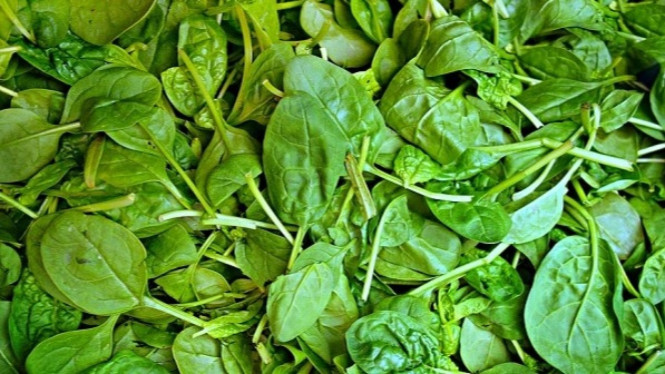 Bayam mentah.