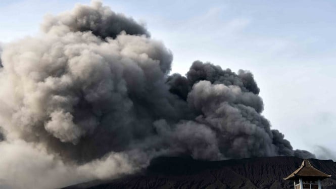 ANTARA FOTO/Widodo S Jusuf