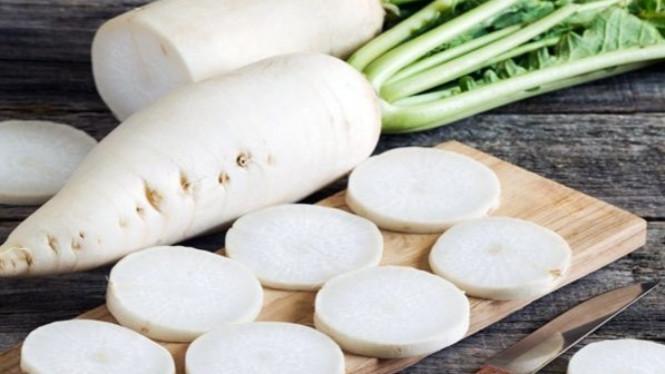 Ilustrasi Lobak Putih