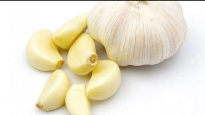 Bawang Putih